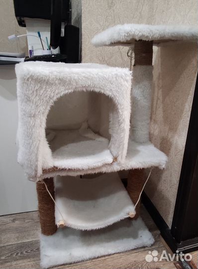 Когтеточка домик для кошки бу