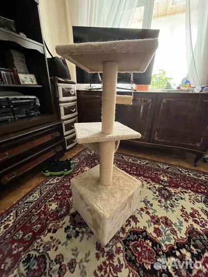 Когтеточка