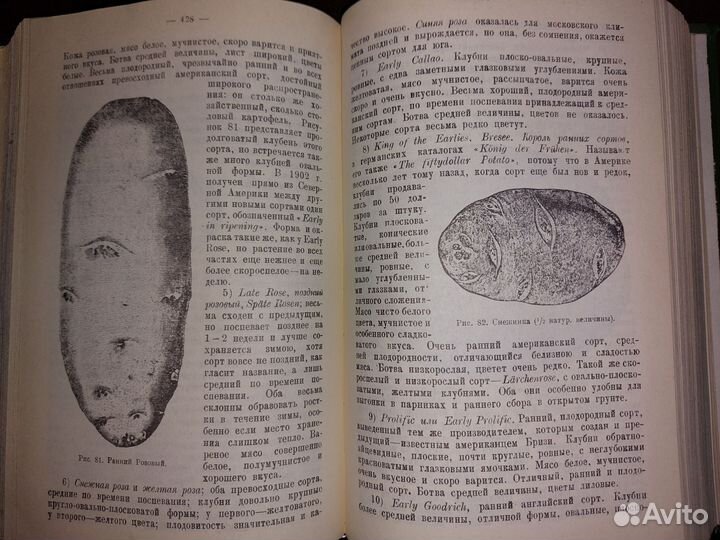 Русский огород, питомник и плодовый сад
