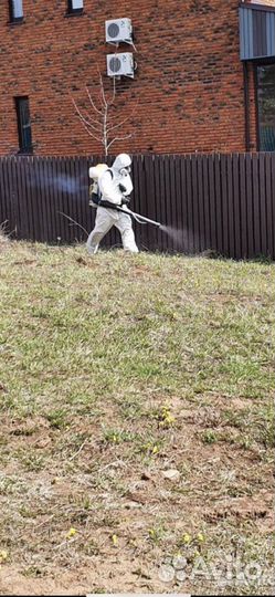 Обработка от клещей