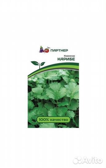 Семена Кориандр Карибе / Партнер/ 1 уп.,2 г семян