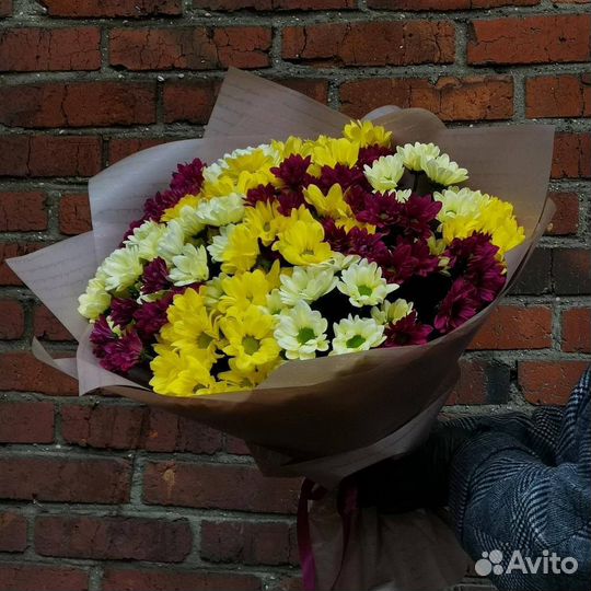 Букет Москва хризантема кустовая ромашка