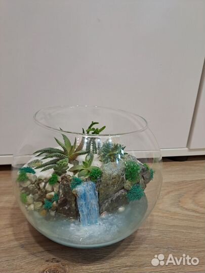 Флорариум