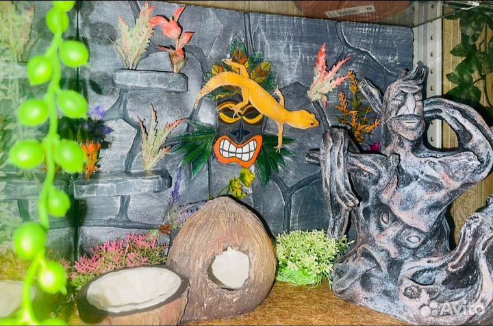 Оформление террариума 