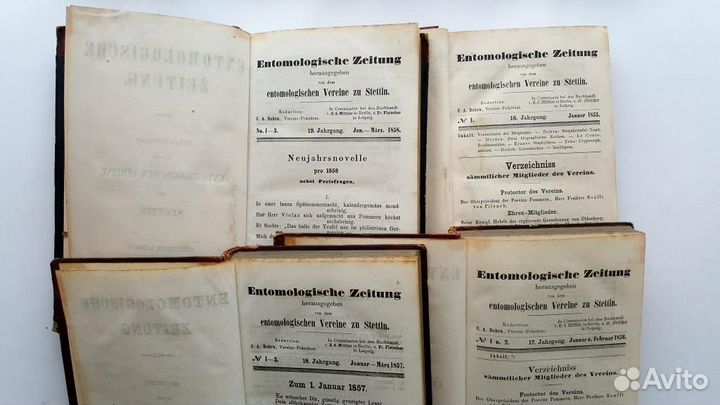 Энтомологическая газета 1855, 1856, 1857, 1858 гг