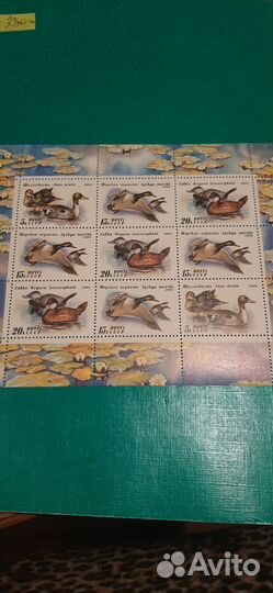 Марки листами, Утки