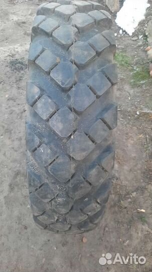 Forward Traction 12 R18