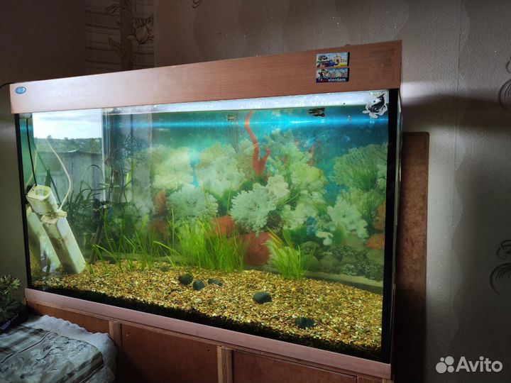 Аквариум для рыб