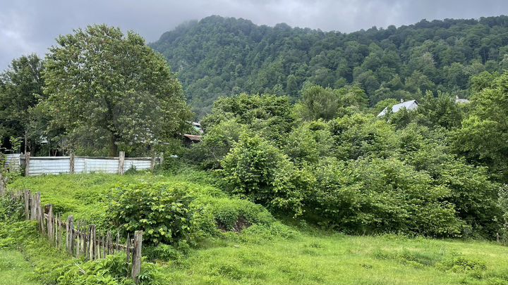 Участок 10 сот. (СНТ, ДНП)