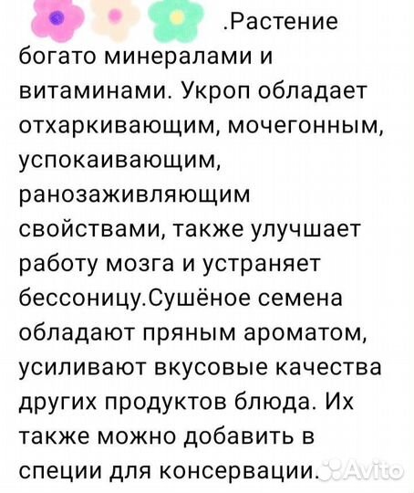 Укроп. Семя