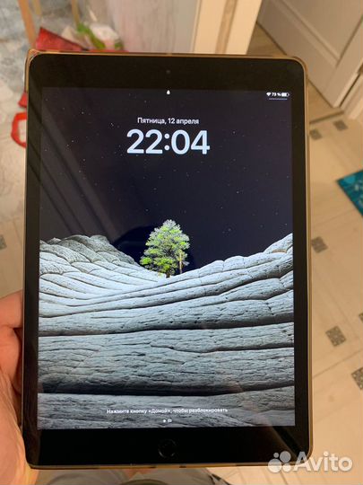 iPad