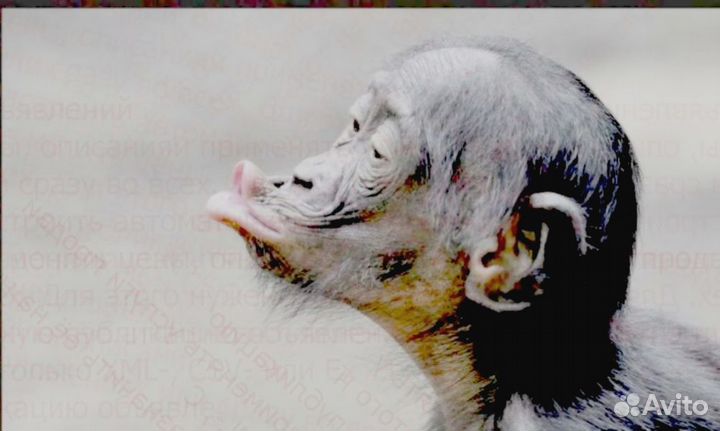 Требуется Разнорабочий Еженедельный аванс Беспл.ед