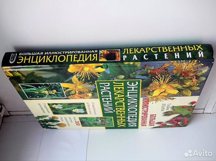 Энциклопедия лекарственных растений Ильина Татьяна