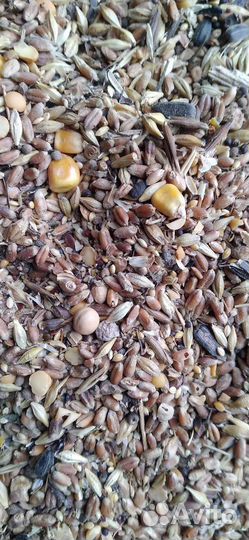 Зерносмесь в мешках