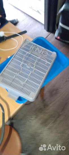 Лоток для котят бесплатно