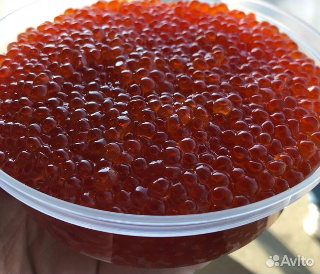 Икра с Камчатки июль 2023 с доставкой на дом