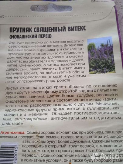 Прутняк священный