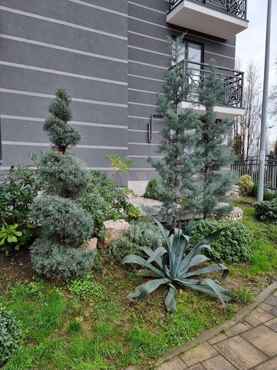 Квартира-студия, 27 м², 1/12 эт.