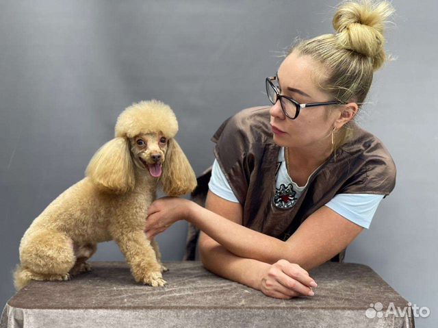 Груминг собак и кошек