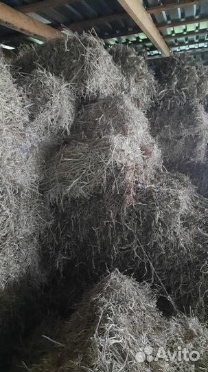 Сено в квадратных тюках