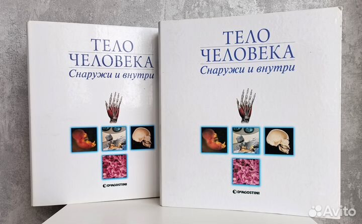 Коллекция журналов «Тело человека» deagostini