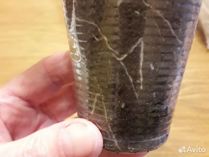 Лаванда,Пеларгония,Очиток,Флокс,Гипсофила