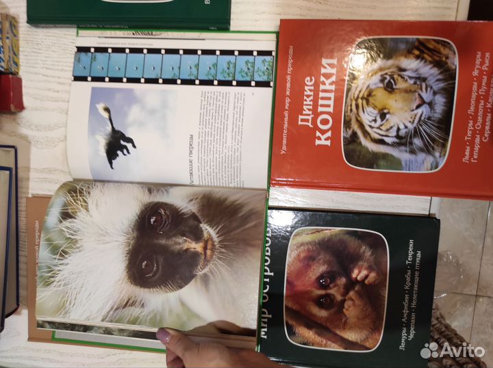 Коллекция книг Удивительный мир живой природы