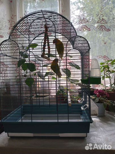 Клетки и переноски для попугайчиков и грызунов
