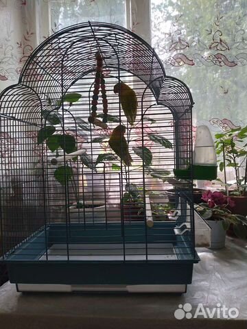 Клетки и переноски для попугайчиков и грызунов