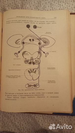 Антикварная книга по медицине