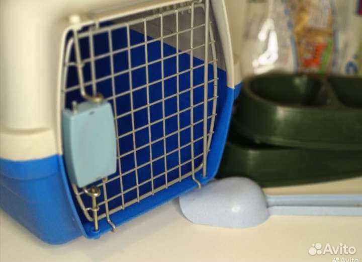 Комплект для кошки