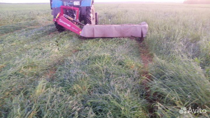 Продам сено в рулонах 2023