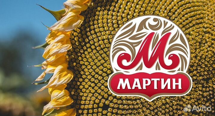 Торговый представитель (Курчатов, Льгов)