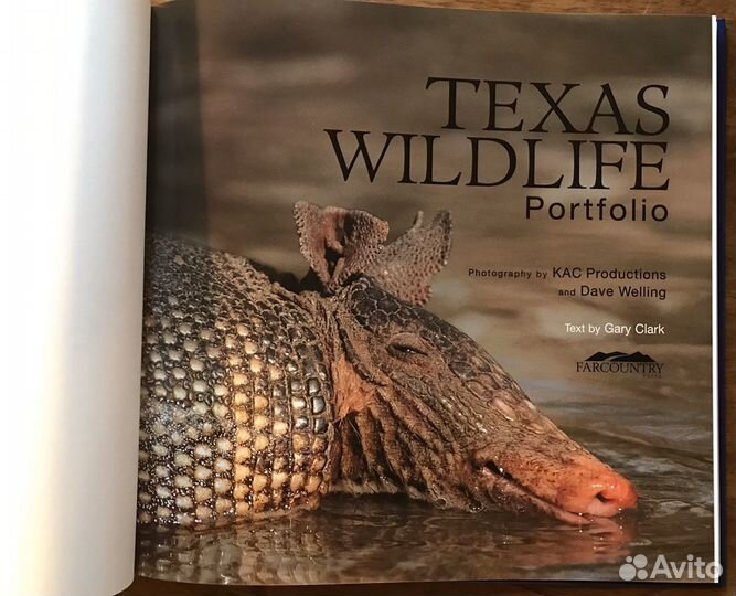 Фотоальбом Gary Clark 