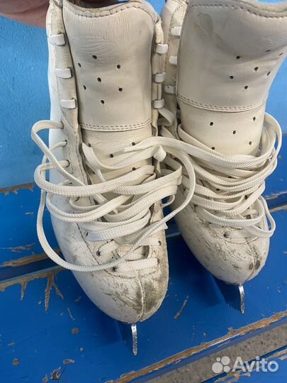 Коньки edea Chorus 230