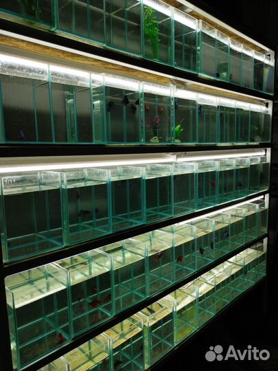 Фильтр рюкзачный aquael Versamax FZN-mini 10-40 л