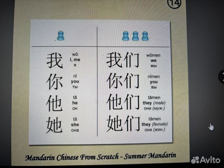 Учитель китайского языка