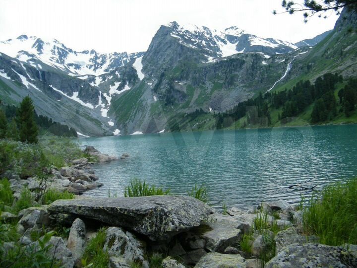 Участок 6 га (СНТ, ДНП)