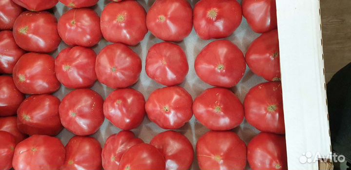 Помидор super вкусные розовые с зелёными семенами