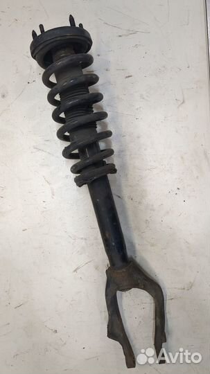 Амортизатор подвески Acura TL, 2006