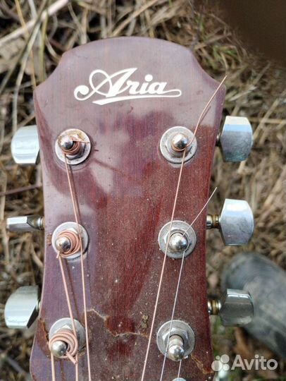 Шестиструнная гитара