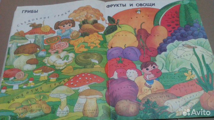 Мир и человек