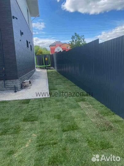 Укладка и продажа газона