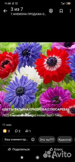 Продам луковицы цветов