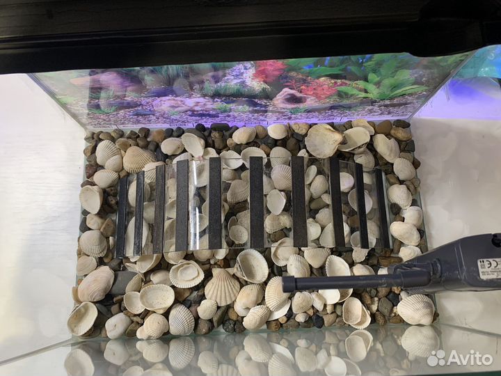 Террариум для черепах