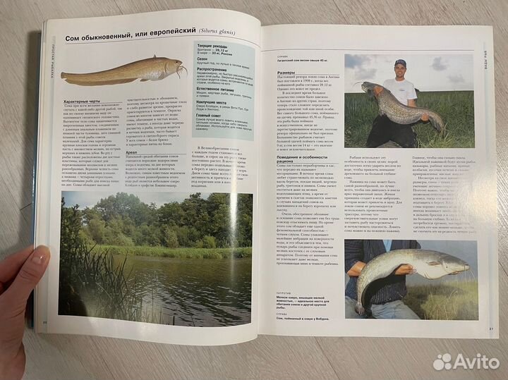 Практическая энциклопедия рыболова. росмэн