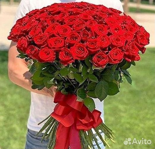 Розы гиганты 140 150 160 170 180 200