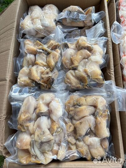 Филе трубача