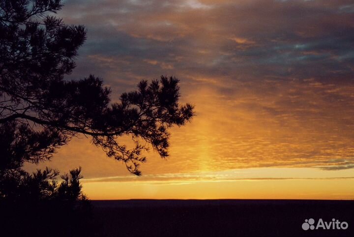 Пленочный фотоаппарат canon 300