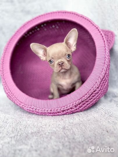 Домик лежанка для животных (коты, собаки и другие)